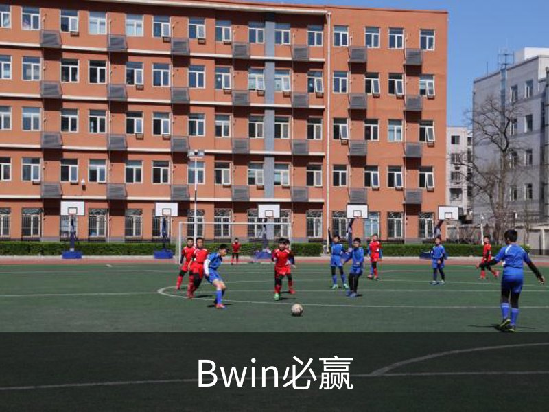 了解Bwin必赢